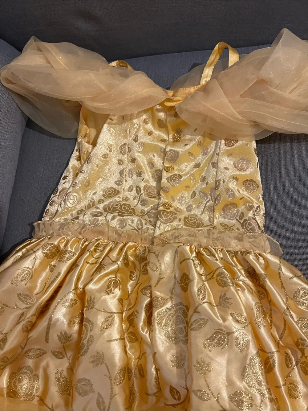 Disney Princess Belle Gold Costume with Red Rose Accents